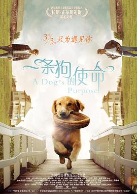 四叶草研究所人类实验室
